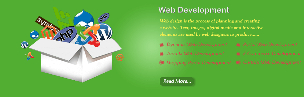 Web Development company Banner