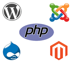 dynamic web designing company in Ahmedabad