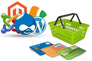 E commerce web development in Ahmedabad